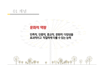 다문화사회복지와 문화적 역량-3