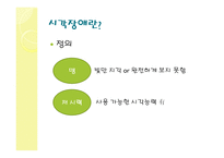 시각 장애 레포트-3