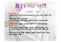 Vygotsky의 사회 문화적 이론-2