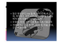 특별 학생을 위한 개입 장애-18
