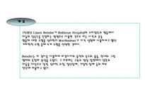 BGT검사보고서 레포트-2
