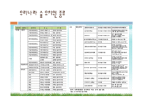 우리나라의 숲유치원과 외국의 숲유치원 숲유치원 프로그램-7