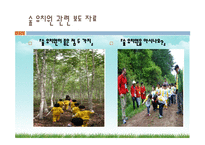 우리나라의 숲유치원과 외국의 숲유치원 숲유치원 프로그램-8