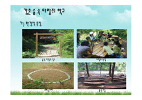 우리나라의 숲유치원과 외국의 숲유치원 숲유치원 프로그램-11