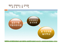 우리나라의 숲유치원과 외국의 숲유치원 숲유치원 프로그램-14