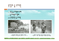 우리나라의 숲유치원과 외국의 숲유치원 숲유치원 프로그램-17