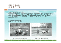 우리나라의 숲유치원과 외국의 숲유치원 숲유치원 프로그램-18