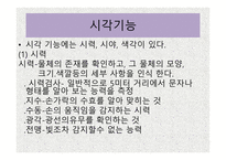 시각장애 개론 레포트-6
