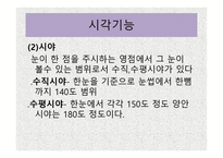 시각장애 개론 레포트-7