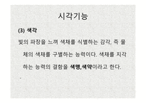 시각장애 개론 레포트-8