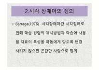 시각장애 개론 레포트-12
