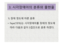 시각장애 개론 레포트-13