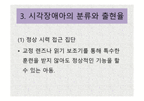 시각장애 개론 레포트-14