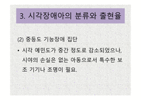 시각장애 개론 레포트-15