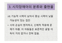시각장애 개론 레포트-17