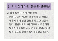 시각장애 개론 레포트-20