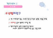 청소년 범죄와 처벌-13