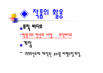 카우보이 비밥 레포트-11