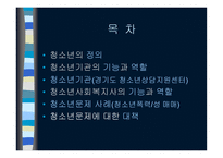 청소년 사회복지 실천론-2