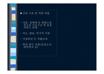 청소년 사회복지 실천론-8