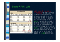 청소년 사회복지 실천론-14