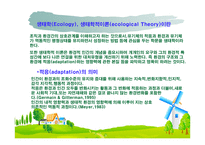 체계 이론 및 생태체계 이론-17