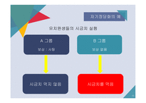 자기 정당화 자기 정당화는 자아존중감의 일환일까-11