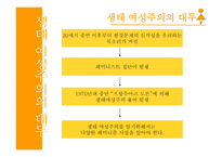 페미니즘과 생태여성주의의 이념-2