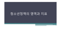 청소년정책의 영역과 지표-1
