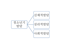 청소년기의 발달-4