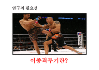 거침없이 로우킥 이종격투기 시청과 청소년 폭력성 영향-4