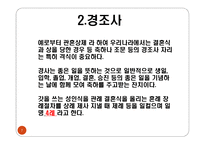 국제 비즈니스 매너-7
