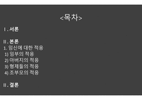 임신에 대한 임부 및 가족의 심리적 적응-2