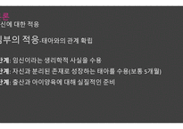 임신에 대한 임부 및 가족의 심리적 적응-8