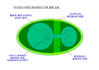대상관계 이론의 기초-8