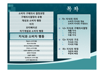 지식 과소비 자행동-2