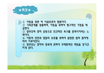 가정위탁 및 입양 서비스-15