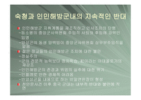 중국 정치에서의 군의 역할-12