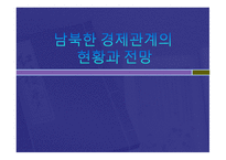 남북한 경제관계의 현황과 전망-1