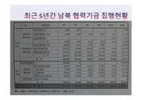남북한 경제관계의 현황과 전망-11