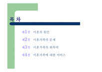 이혼가족 레포트-2