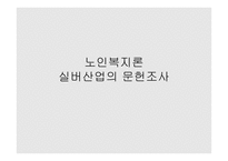 노인복지론 실버산업의 문헌조사-1