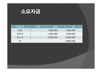 레드페이스 사업계획서-13