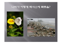 카오스 이론 ChaosTheory과 프랙털 Fractal-13