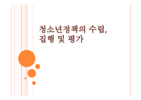 청소년정책의 수립 집행 및 평가-1