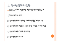 청소년정책의 수립 집행 및 평가-8