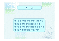 청소년 문제 보고서-2