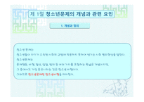 청소년 문제 보고서-3