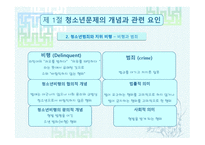 청소년 문제 보고서-5