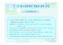 청소년 문제 보고서-8